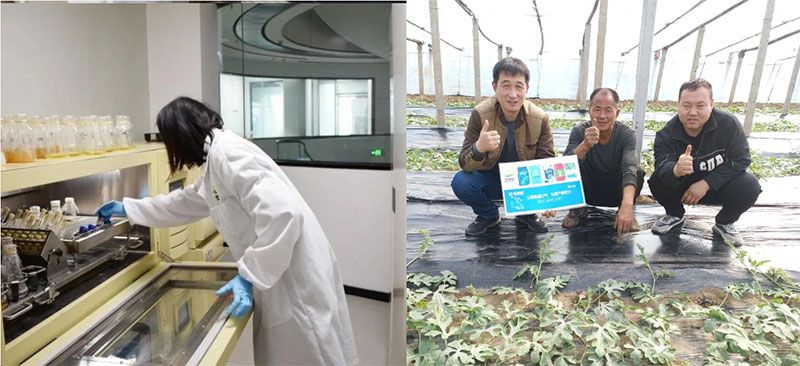 打造新朝陽生物科技“五張名片”，服務農業(yè)高質量發(fā)展！